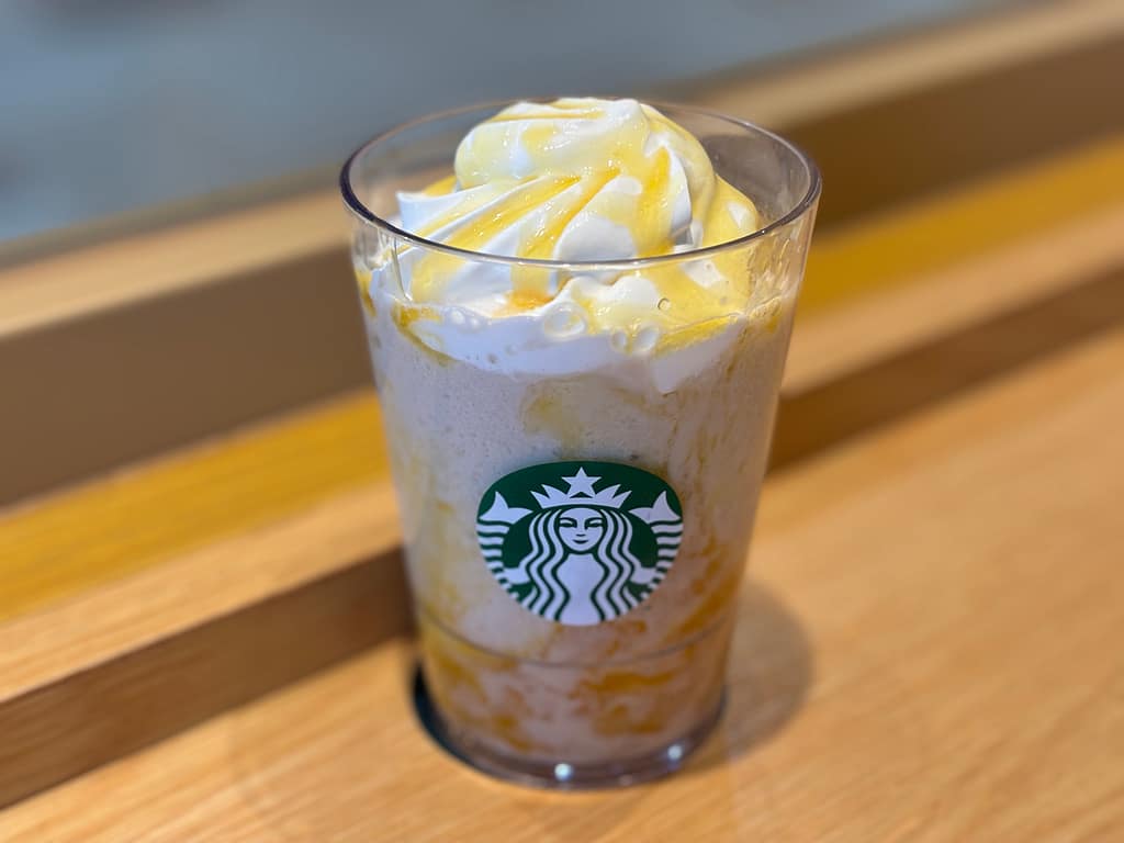 フラペチーノの全体像
