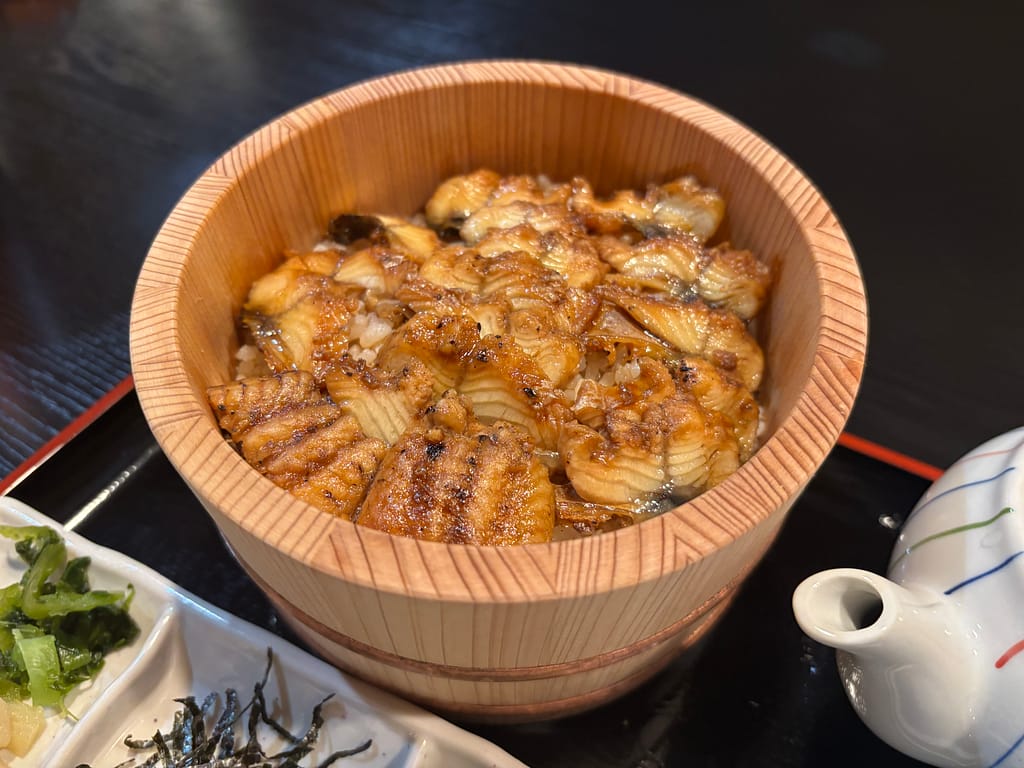 うな飯のアップ写真