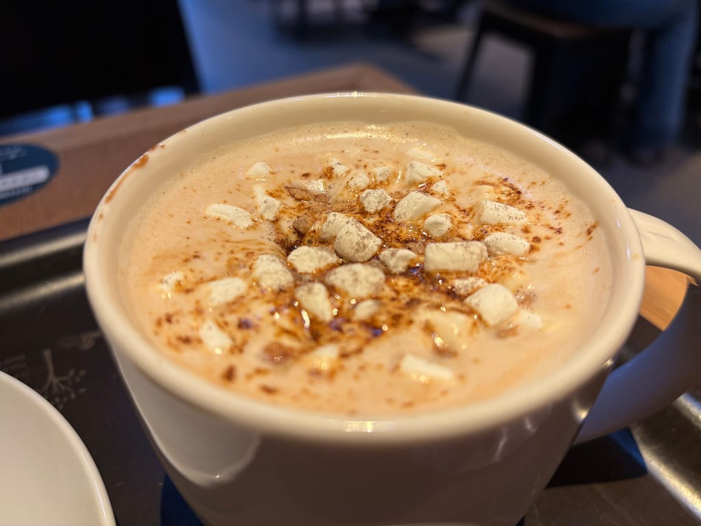 スモアチョコレートラテ さらに寄りのアップ。スモアチョコレートラテの表面に浮かぶマシュマロとチョコレートソース。温かみのあるホットドリンク。
