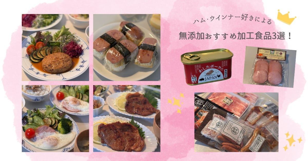加工食品３選食レポブログトップ画像